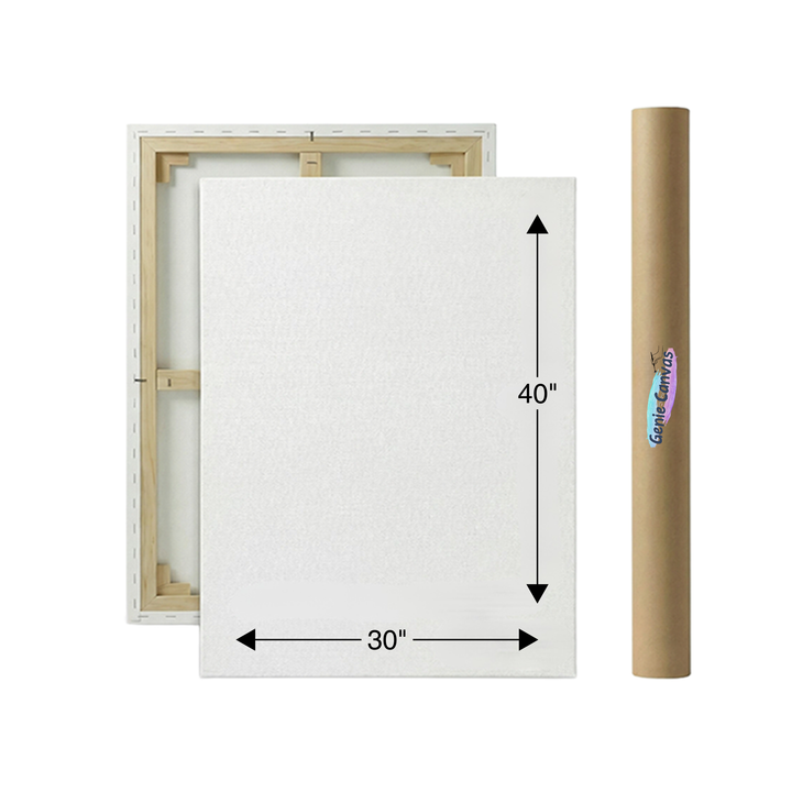 White canvas with wooden frame and dimensions, next to a cardboard roll with 'Genie Canvas' branding.
